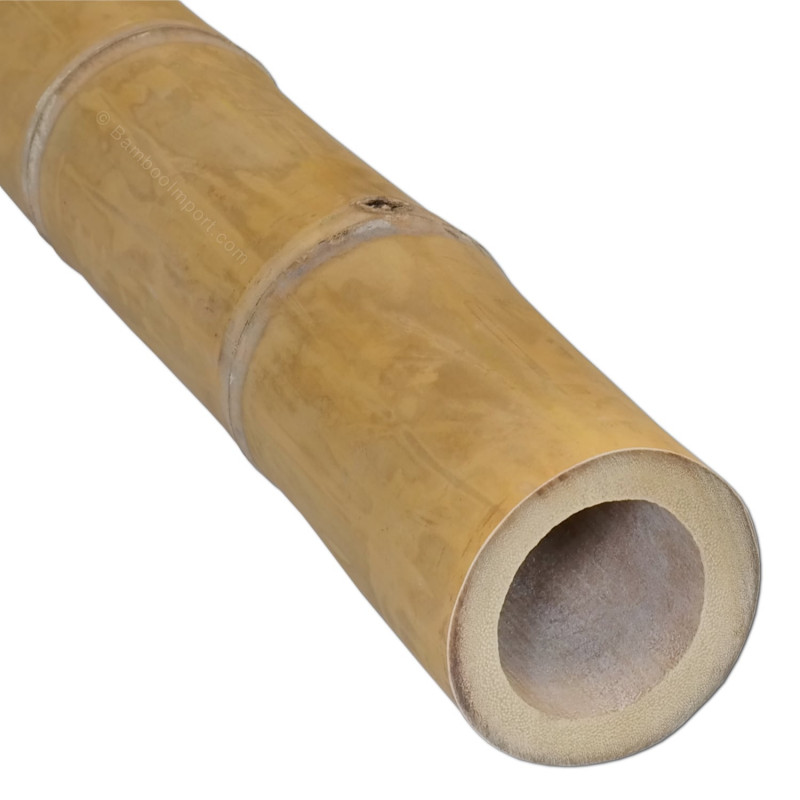 Bambu sauva Guadua Ø 7-9 x 150 cm