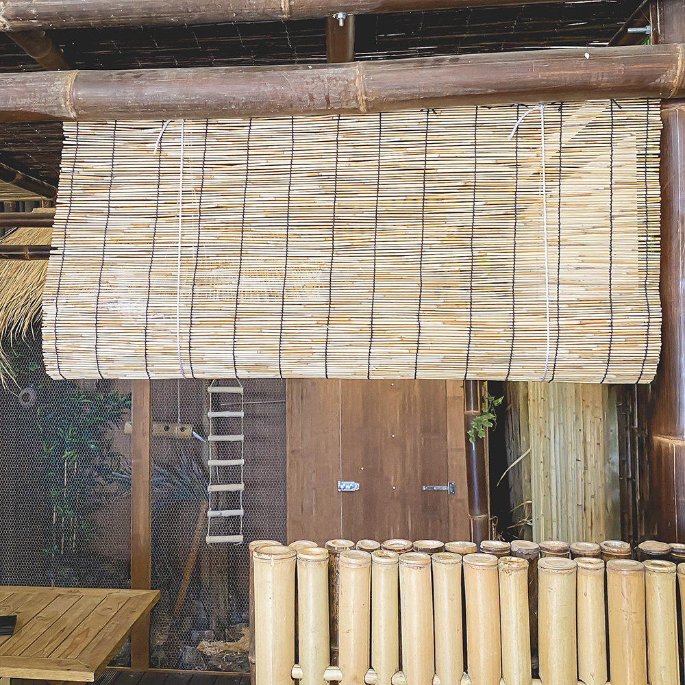 Reed Blind 90 x 250 cm - Image 4